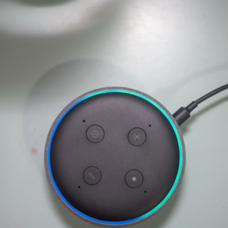 dispositivi Alexa e Google Home integrati in abitazione